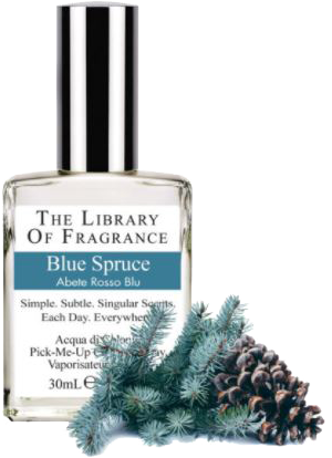 EdC Blue Spruce
