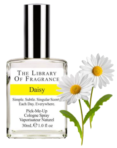 Library of Fragrance Daisy ohne Hintergrund